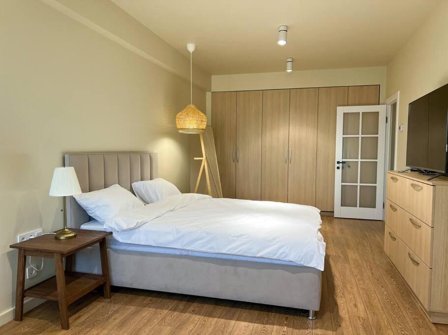 2 Bedroom On Ismail Corner Stefan Cel Mare, New Apartment, Center! Chişinău